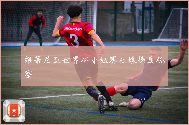 维蒂尼亚世界杯小组赛社媒热度观察