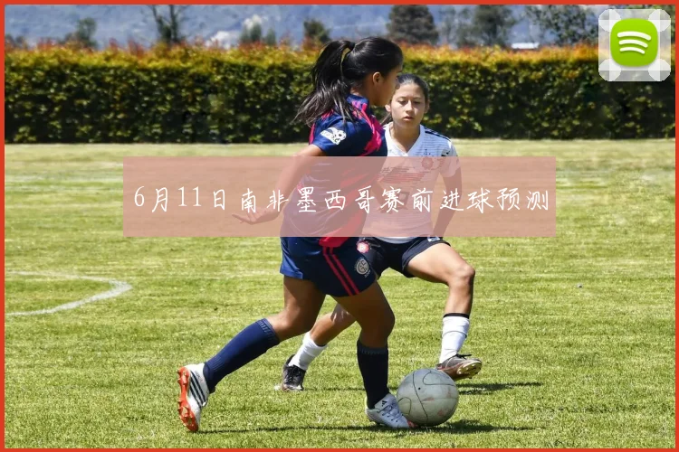 6月11日南非墨西哥赛前进球预测
