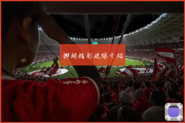 挪超精彩进球介绍