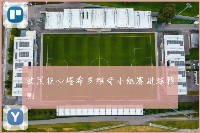 波黑核心塔希罗维奇小组赛进球预测