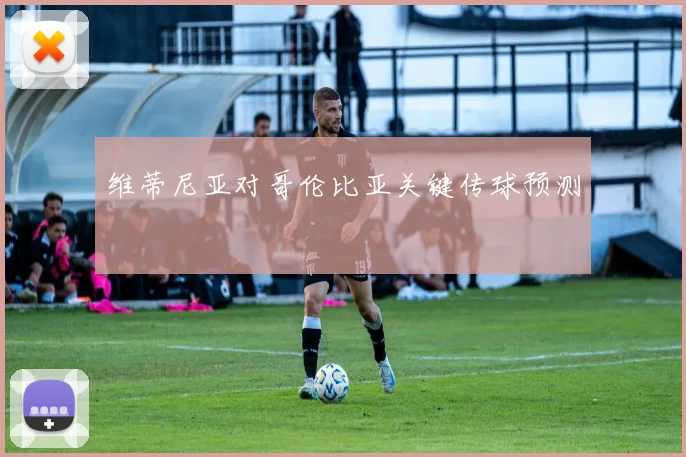 维蒂尼亚对哥伦比亚关键传球预测