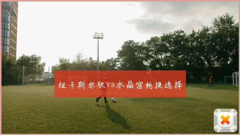 纽卡斯尔联vs水晶宫轮换选择