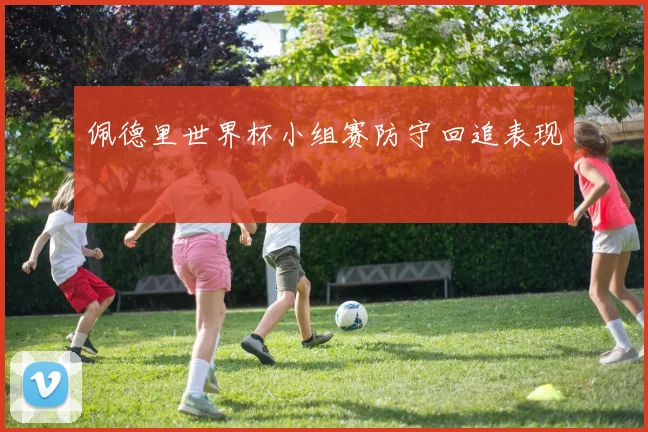 佩德里世界杯小组赛防守回追表现