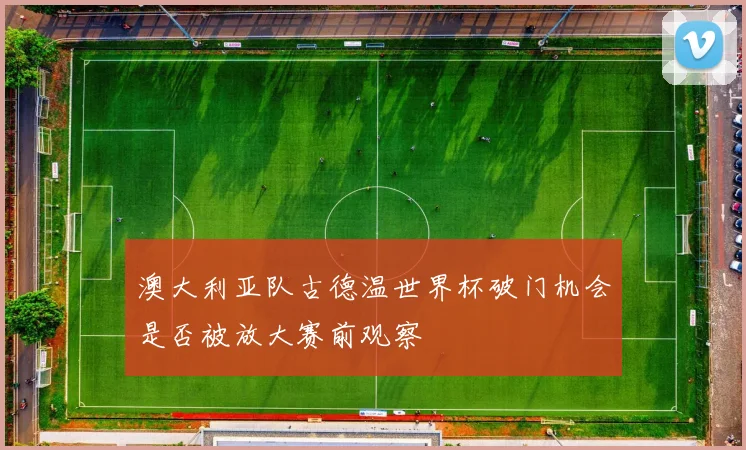 澳大利亚队古德温世界杯破门机会是否被放大赛前观察