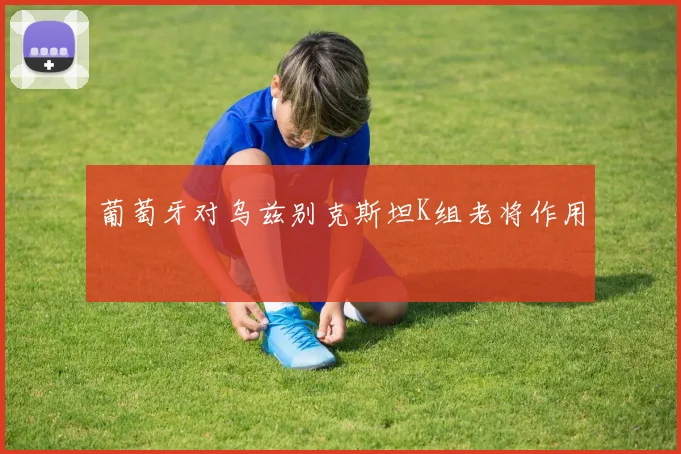 葡萄牙对乌兹别克斯坦K组老将作用