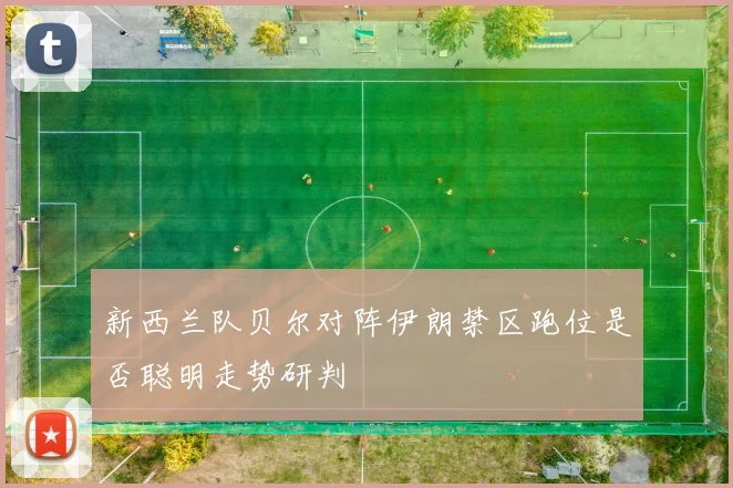 新西兰队贝尔对阵伊朗禁区跑位是否聪明走势研判